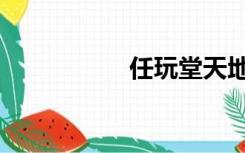 任玩堂天地（任玩堂）