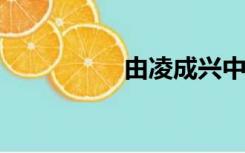 由凌成兴中央纪委调查