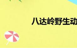 八达岭野生动物园门票价格