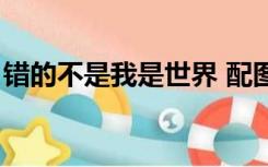 错的不是我是世界 配图（错的不是我是世界）