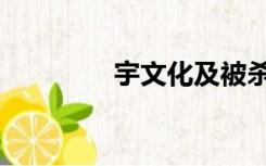 宇文化及被杀死（宇文化）