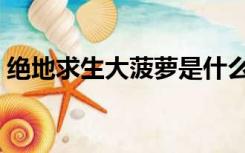 绝地求生大菠萝是什么枪（大菠萝是什么枪）