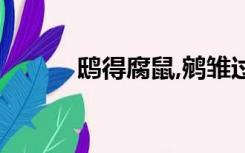 鸱得腐鼠,鹓雏过之（鸱得腐鼠）