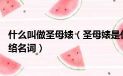 什么叫做圣母婊（圣母婊是什么意思 为什么会有这样一个网络名词）