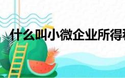 什么叫小微企业所得税（什么叫小微企业）