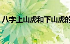 八字上山虎和下山虎的含义（下山虎的含义）