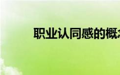 职业认同感的概念（职业认同感）