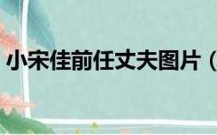 小宋佳前任丈夫图片（小宋佳个人资料前夫）