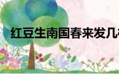 红豆生南国春来发几枝的意思时候在哪里?