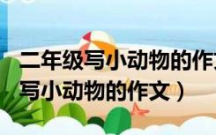 二年级写小动物的作文100字小白兔（二年级写小动物的作文）