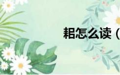 耜怎么读（耒怎么读）