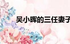 吴小晖的三任妻子（吴小晖的妻子）