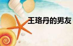 王珞丹的男友（王珞丹丈夫）