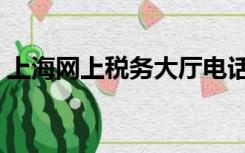 上海网上税务大厅电话（上海网上税务大厅）
