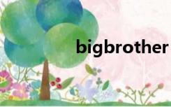 bigbrother is watching