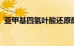 亚甲基四氢叶酸还原酶基因检测多久出结果