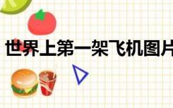 世界上第一架飞机图片（世界上第一架飞机）