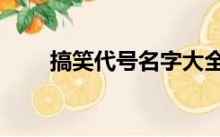 搞笑代号名字大全（代号名字大全）