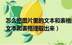 怎么把图片里的文本和表格提取出来打印（怎么把图片里的文本和表格提取出来）