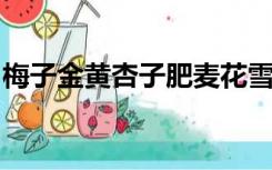 梅子金黄杏子肥麦花雪白菜花稀的意思作业帮