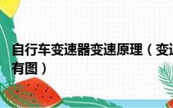 自行车变速器变速原理（变速自行车的变速原理是什么 最好有图）