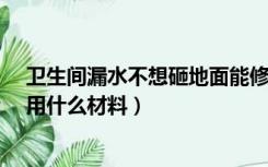 卫生间漏水不想砸地面能修好吗?（卫生间漏水不想砸地面用什么材料）