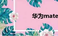 华为mate8上市时间