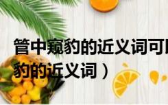 管中窥豹的近义词可以是见微知著吗（管中窥豹的近义词）