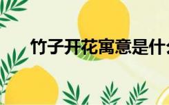 竹子开花寓意是什么（竹子开花寓意）
