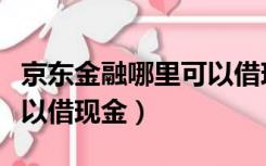 京东金融哪里可以借现金啊（京东金融哪里可以借现金）
