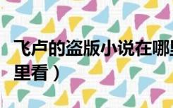 飞卢的盗版小说在哪里看（飞卢小说盗版去哪里看）