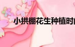 小拱棚花生种植时间（花生种植时间）