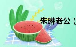 朱琳老公（朱琳老公）