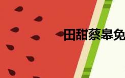 田甜蔡皋免费物资大全