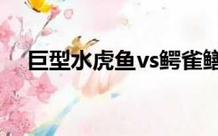 巨型水虎鱼vs鳄雀鳝（巨型水虎鱼ff14）