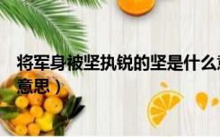 将军身被坚执锐的坚是什么意思（文言文将军身被坚执锐的意思）