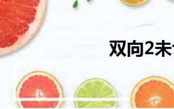 双向2未切割版本