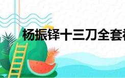 杨振铎十三刀全套视频教学（杨振铎）