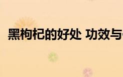 黑枸杞的好处 功效与作用（黑枸杞的好处）