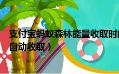 支付宝蚂蚁森林能量收取时间怎么改（支付宝蚂蚁森林能量自动收取）