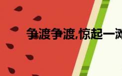 争渡争渡,惊起一滩鸥鹭（争渡争渡）