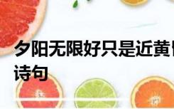 夕阳无限好只是近黄昏是谁的诗句是几年级的诗句