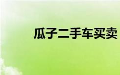 瓜子二手车买卖（瓜子儿二手车）