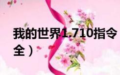 我的世界1.710指令（我的世界1 710指令大全）