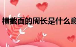 横截面的周长是什么意思（周长是什么意思）