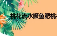 桃花流水鳜鱼肥桃花颜色（桃花颜色）
