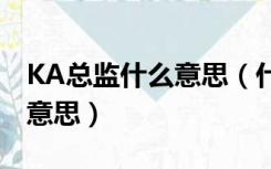 KA总监什么意思（什么叫KA经理 KA是什么意思）