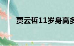 贾云哲11岁身高多少（贾云哲身高）