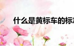 什么是黄标车的标志（什么是黄标车）