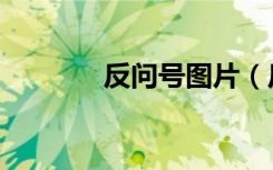 反问号图片（反问号怎么打）